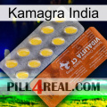 Kamagra India 42